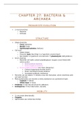 Bacteria & Archaea Notes