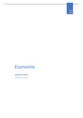 Samenvatting Economie Vandaag + voorbeelden + lesnotities