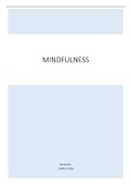 samenvatting mindfulness
