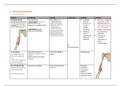 Samenvatting&colon; Spieren van de boven- en onderarm &plus; van de hand- functionele anatomie Tom van Hoof