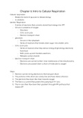 BIO101 Intro to Biology lecture notes&period; Chapter 4 Cellular Respiration