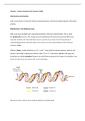 Biological Anthropology - Structure and Function of DNA