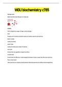 C100 WGU Objective Assessment Vocab