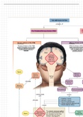 notes 6: Neurophysiology