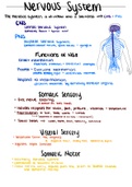 Introduction to the nervous system