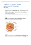 ATI TEAS 6 - Science (Human Anatomy and Physiology) study guide