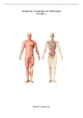 Aantekeningen Anatomie, Fysiologie en Pathologie periode 1
