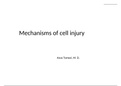 easy pathology mechanism of cell injury