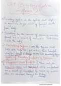 Excretory System