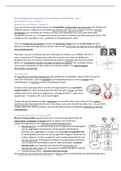 Neurobiologie - deel B