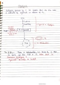 GLYCOLYSIS HAND WRITTEN NOTES OF DR NAJEEB