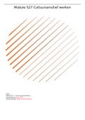 S27 Cultuursensitief werken
