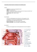 Samenvatting  Anatomie en fysiologie ademhalingstelsel
