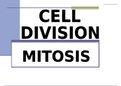 Powerpoint on Mitosis