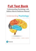 Understanding Psychology 12th Edition Morris Solutions Manual