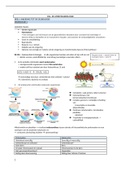 CELBIOLOGIE: DEEL 1 -> inleiding tot de celbiologie (1e bachelor Farmacie) 