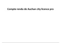 compte rendu auchan city licence pro
