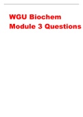 Document preview thumbnail