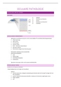 Volledige samenvatting oculaire pathologie I OOGZORG