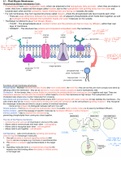 CIE A level Biology notes on unit o4 - Cell membranes and transport