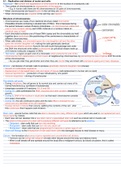 CIE A level Biology notes on unit o5 - Mitotic cell cycle 