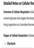 Summary cellular respiration class 11 -  Bio-chem-physics 101