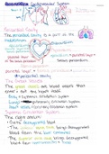 Anatomy & Physiology II - Cardiovascular Anatomy