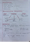 Grade 11 IEB Physics and Chemistry full syllabus summary deal