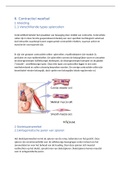 Orgaananatomie en histologie cursus Sofia uitgeschreven - Hoofdstuk 6