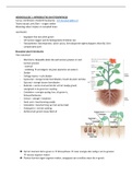 Planten en Micro-organismen - Planten hoorcolleges