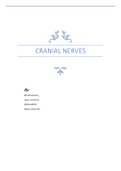 summary of cranial nerves
