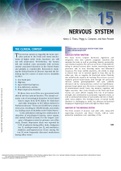 Advanced Physiology and Pathophysiology Essentials&lpar;Chapter 15 Nervous&lowbar;System&rpar;