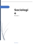 Inleiding Sociologie Blok 1 2022/2023 - Hoorcollege aantekeningen, werkcollege aantekeningen, opdrachten voor een cijfer & een samenvatting met de belangrijkste onderdelen!!