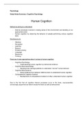 Cognitive Psychology Overview