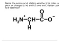 Amino acids flashcards for 4BBY1013 Biochemistry (CYO)
