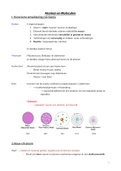 Atomen & Moleculen 1BLC: Samenvatting
