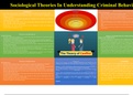 Theories in understandings Criminal Behaviour 