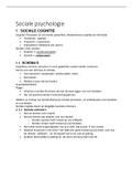 Sociale psychologie 