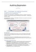 Samenvatting Auditing Beginselen