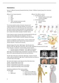 Sammenvatting "Introduction into Neuroscience" Anatomy lecture 1 t/m 7