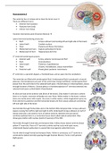 Samenvatting "Introduction into Neuroscience" lecture 8 t/m 13 Anatomy