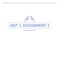 Unit 1 Assignment 2 - Exploring Business BTEC Business (Distinction Level)