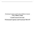NRS 490 Topic 10 Assignment: Benchmark – Professional Capstone and Practicum Reflective Journal (Spring 2022)