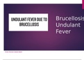 Detail Summary about the Undulant Fever / Brucellosis