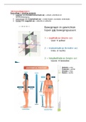 Samenvatting  Leerjaar 1 Blok A Gezondheid