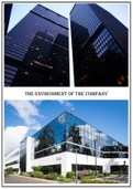 The environment of the company 