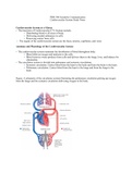Study Guide for Anatomy and Physiology of the Cardiovascular System