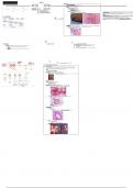 Pathology of Hypertension 