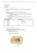 Anatomie genetica en microbiologie