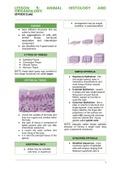 L5 - Animal Histology and Organology